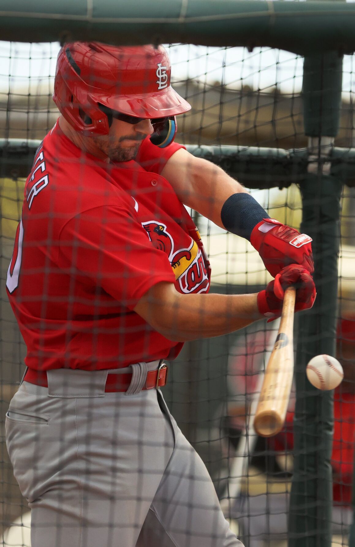 Cardinals minor-league spring training day three in Jupiter